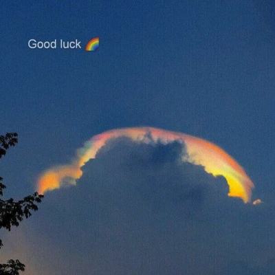 乐鱼娱乐app官网下载